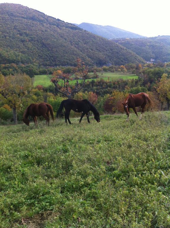 L'Angelo Pellegrino Miniappartamenti Rieti Quarto foto